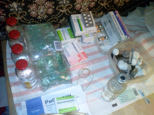 Капельница собаке боксер